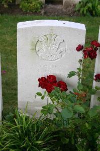 Dozinghem Military Cemetery - Davies, F